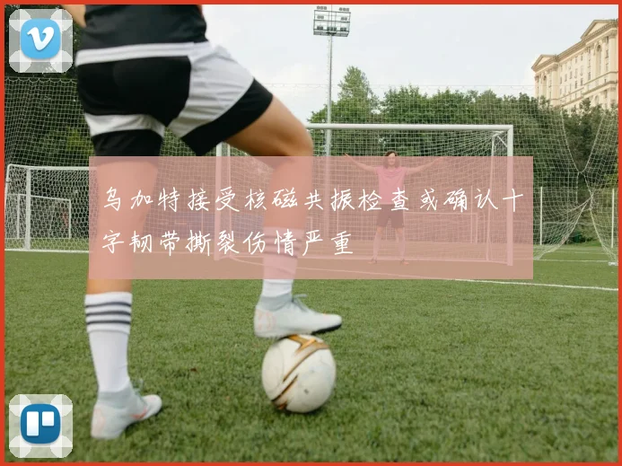 乌加特接受核磁共振检查或确认十字韧带撕裂伤情严重