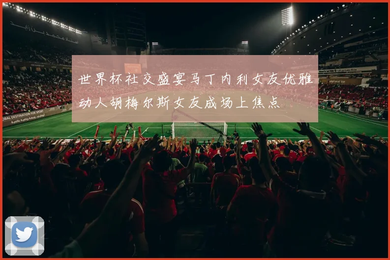 世界杯社交盛宴马丁内利女友优雅动人胡梅尔斯女友成场上焦点